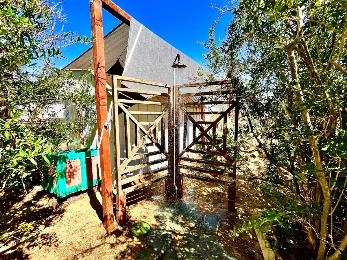 Popular Homestead! Location, Stargaze, Views! Джошуа-Три Экстерьер фото